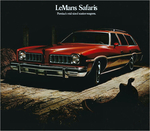 1974 Pontiac Safari-04